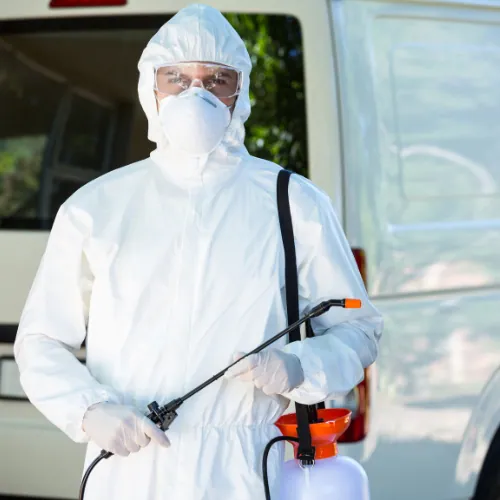 Dératisation 95 – expert anti-rongeurs dans le Val-d’Oise