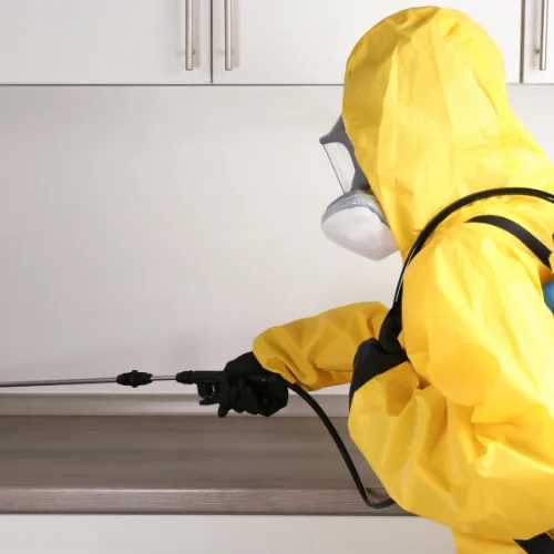 Technicien Dératisation 95 en intervention